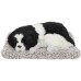 VOILA Sleeping Cute Dog for Car Dashboard and Home Decor with Activated Carbon for Decoration Toy Decorative Showpiece